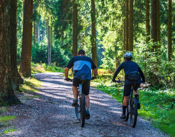 Two cyclists riding mountain bikes along a scenic forest trail on a sunny day.